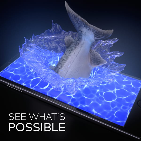 See Whats Possible